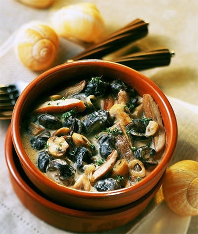 Le Crusole - Les escargots de Malicorne - GERS